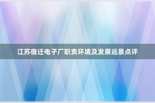 江苏宿迁电子厂职责环境及发展远景点评